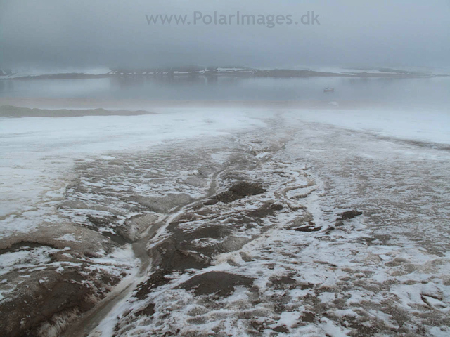 Vegafonna, Palanderbukta, Nordaustlandet IMG_0121