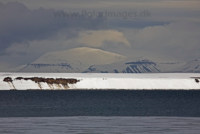 Ymerbukta_MG_8828