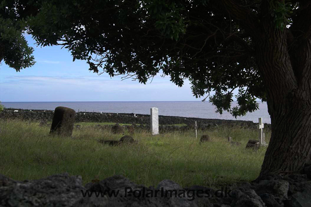 Tristan da Cunha PICT3845